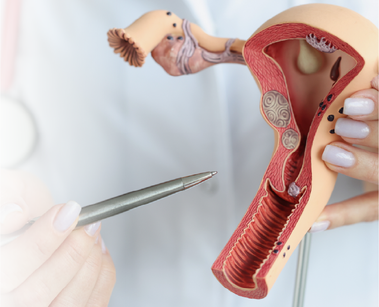 Clínica de displasias