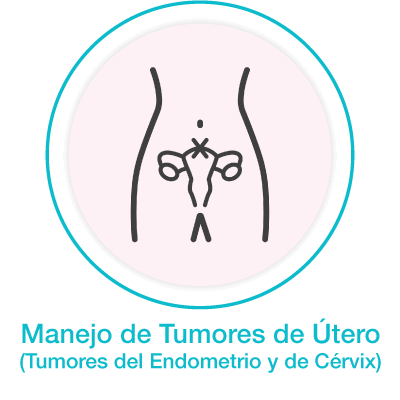 Utero